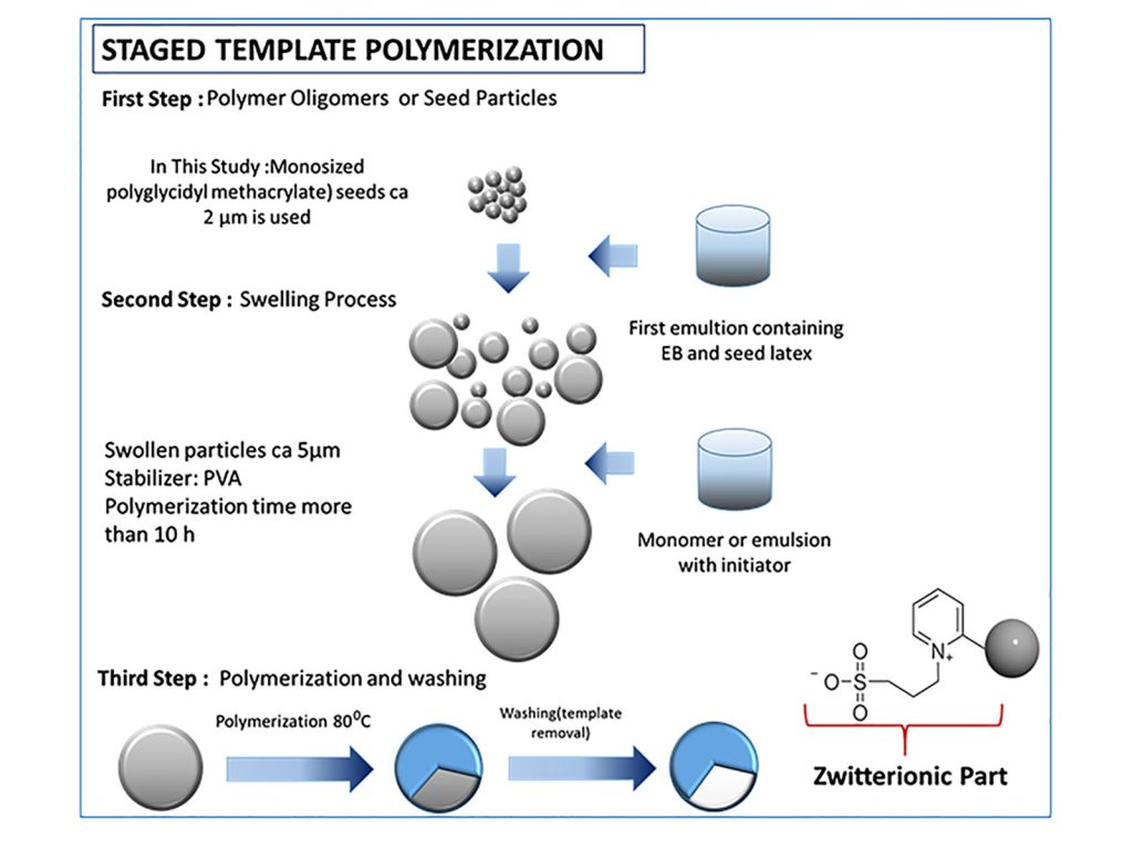 Synthesis and characterization of monodisperse-porous, zwitterionic microbeads