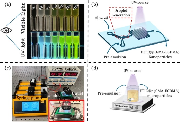 Microfluidic vs. batch synthesis of fluorescent  micro/nanoparticles